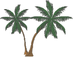 palmtree